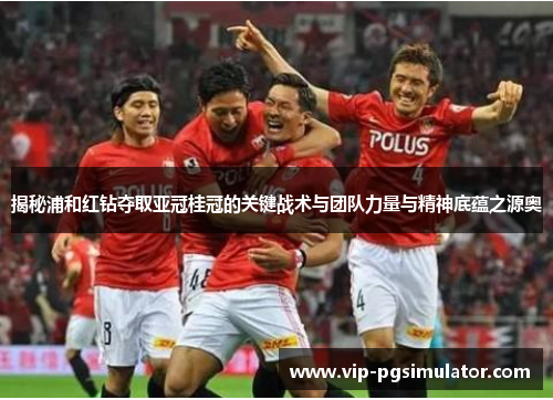 揭秘浦和红钻夺取亚冠桂冠的关键战术与团队力量与精神底蕴之源奥